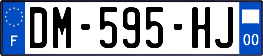 DM-595-HJ