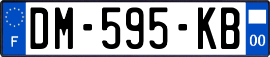 DM-595-KB