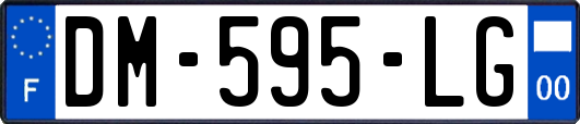 DM-595-LG