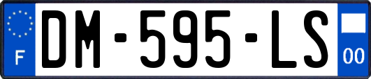 DM-595-LS