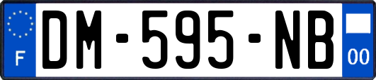 DM-595-NB