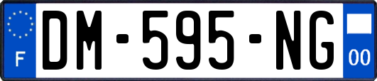 DM-595-NG