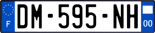 DM-595-NH