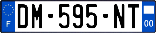 DM-595-NT