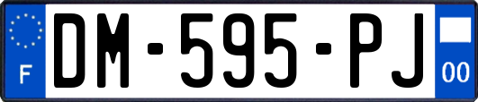 DM-595-PJ