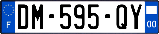 DM-595-QY