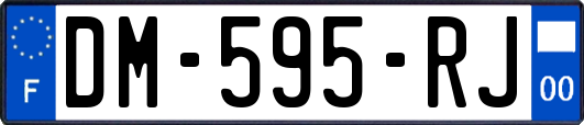 DM-595-RJ