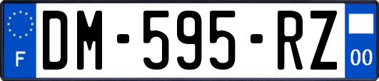 DM-595-RZ