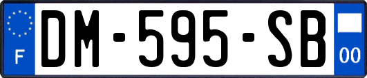 DM-595-SB