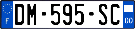 DM-595-SC