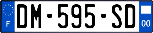 DM-595-SD
