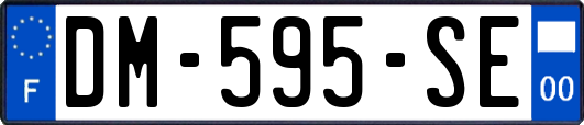 DM-595-SE