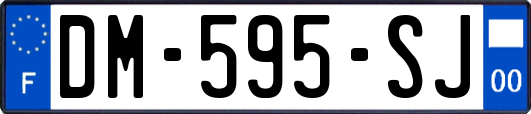 DM-595-SJ