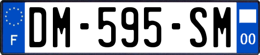 DM-595-SM