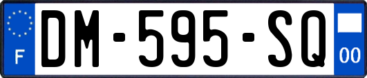 DM-595-SQ