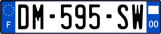 DM-595-SW