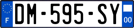 DM-595-SY