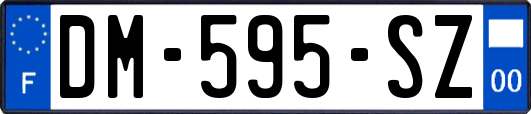 DM-595-SZ