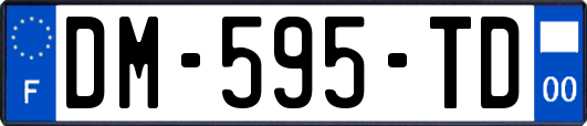 DM-595-TD