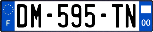 DM-595-TN