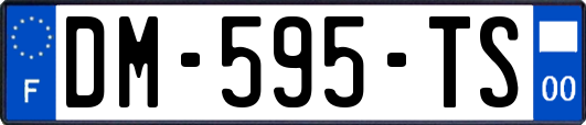 DM-595-TS