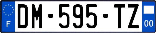 DM-595-TZ