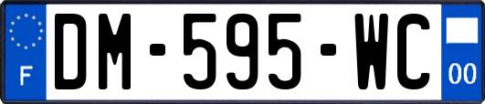 DM-595-WC