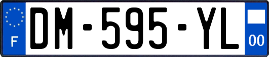 DM-595-YL