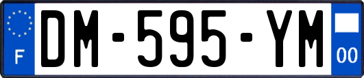 DM-595-YM