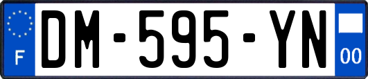 DM-595-YN