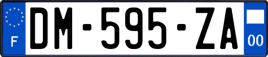 DM-595-ZA