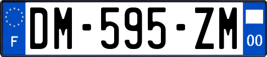 DM-595-ZM