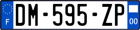 DM-595-ZP