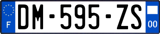 DM-595-ZS