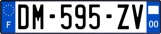 DM-595-ZV