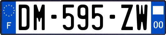 DM-595-ZW