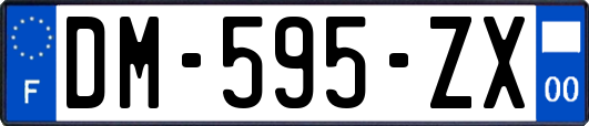 DM-595-ZX