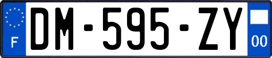 DM-595-ZY