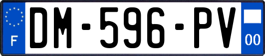 DM-596-PV