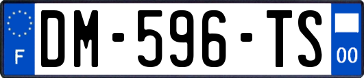 DM-596-TS