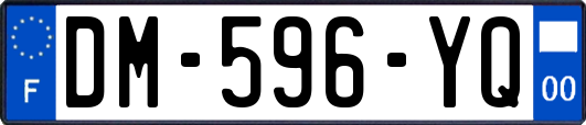 DM-596-YQ