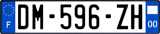 DM-596-ZH