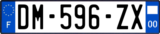 DM-596-ZX