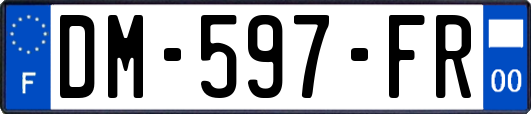 DM-597-FR