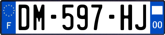 DM-597-HJ