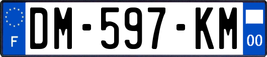 DM-597-KM