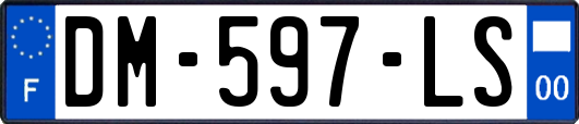 DM-597-LS