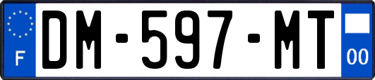 DM-597-MT