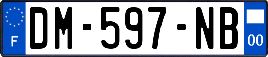 DM-597-NB