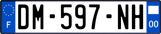 DM-597-NH